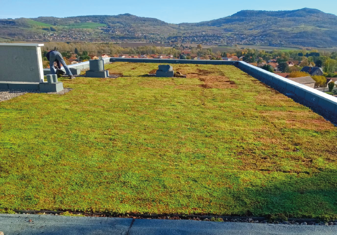 Toiture végétalisée réalisée par EQUATION avec vue sur les volcans d'Auvergne